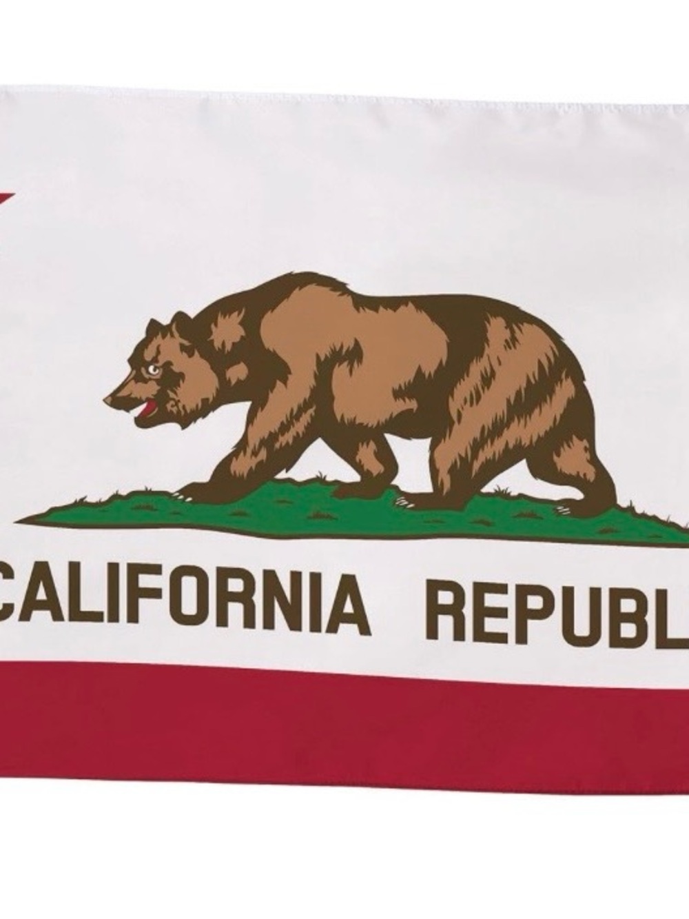 California Republic Bear Graphic Flag Print 3x5
